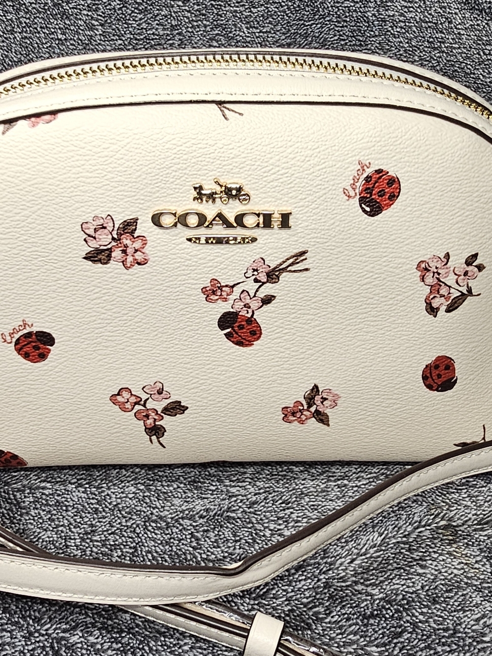 Coach White Floral & Ladybug Crossbody Bag - Picture 3 of 15